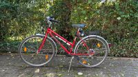 Stadtrad Damenrad Fahrrad Hollandrad Rheinland-Pfalz - Emmelshausen Vorschau