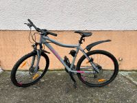 Montainbike  26 Zoll ⭐️300€ bis Sonntag⭐️ Brandenburg - Bad Liebenwerda Vorschau