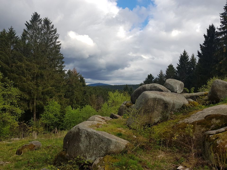 Ferienwohnung im Harz, Urlaub, Entspannung im Oberharz in Rahden