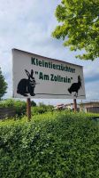 Suche Garten für Kleintier Züchter Sachsen-Anhalt - Halle Vorschau