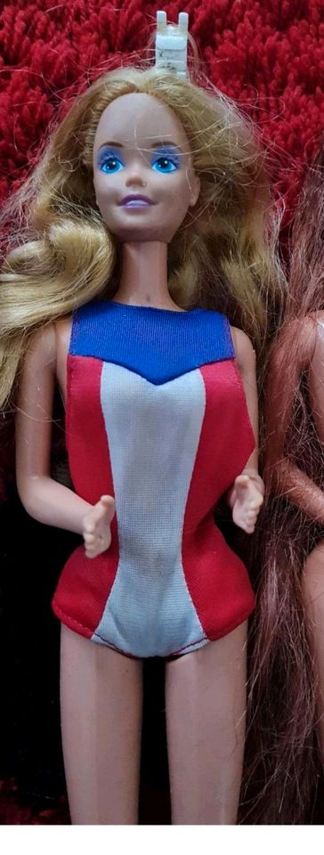 Barbie verschiedene in Schneverdingen