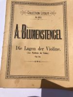 A. Blumenstengel Die Lagen der Violine Hessen - Neu-Isenburg Vorschau