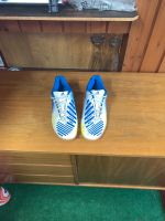 Adidas Hallenschuhe Predator 41 1/3 Hessen - Oberursel (Taunus) Vorschau