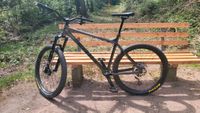 MTB,Mountainbike,hardtail,Vitus Sachsen - Coswig Vorschau