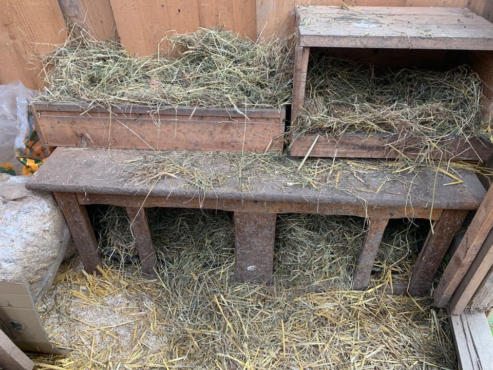 Hühner Enten Geflügel Stall Holzkisten Legekisten in Attendorn