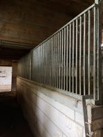 Pferdeboxen Gitter und Türen Baden-Württemberg - Schefflenz Vorschau