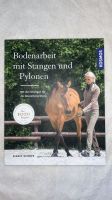 Bodenarbeit mit Stangen und Pylonen Sachsen - Borna Vorschau