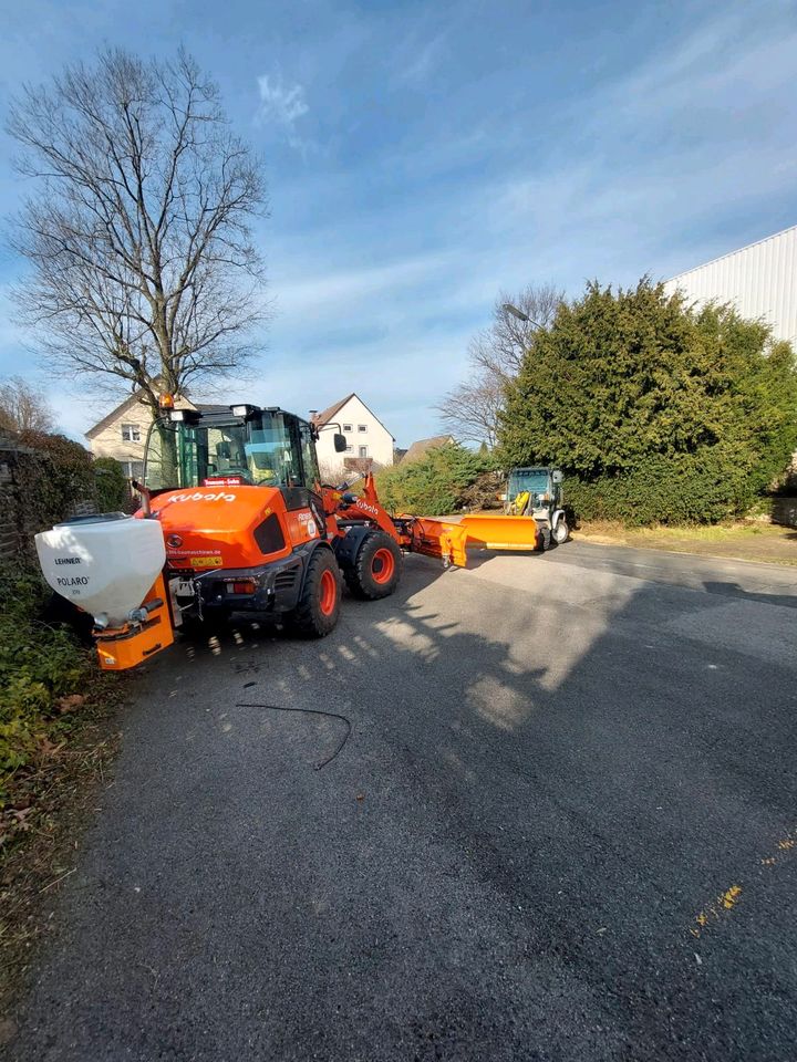 Minibagger 6.0 Tonnen Vermietung Mieten aus der Region Hannover in Wedemark