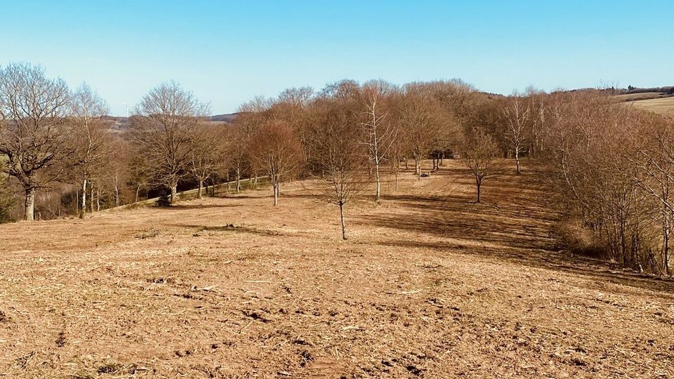 Freizeit Grundstück in Schiffweiler