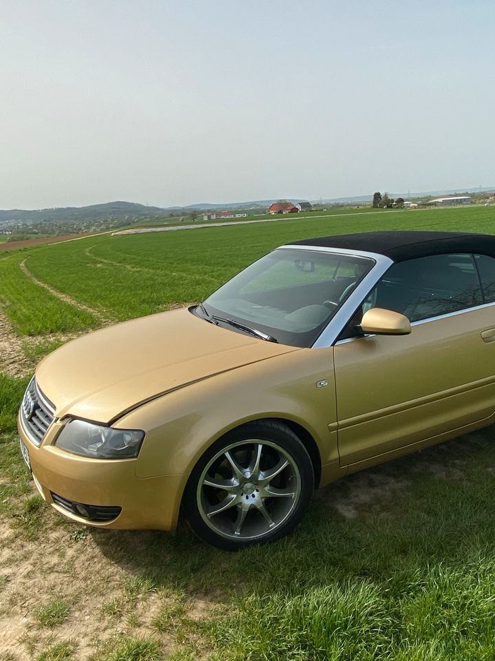 goldener Frühling in Leutenbach