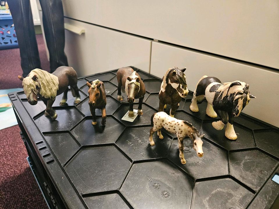 Schleich Pferde sowie Zubehör in Wilgartswiesen