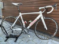 Viva Carbon 54“ Rennrad Shimano Ultegra 6700 Rheinland-Pfalz - Konz Vorschau