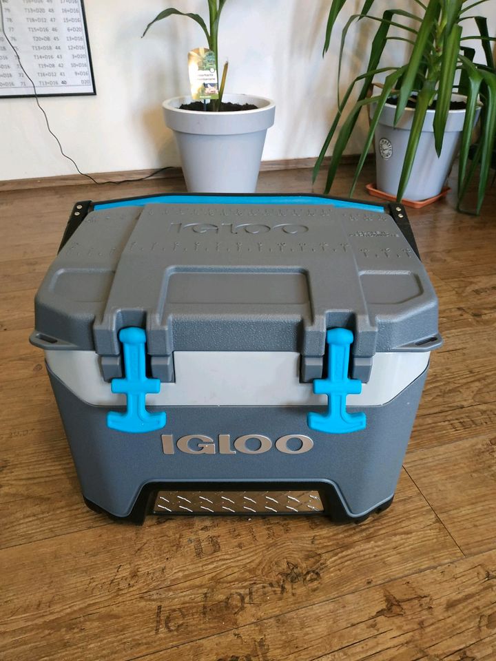 Igloo Kühlbox 23 Liter in Coesfeld