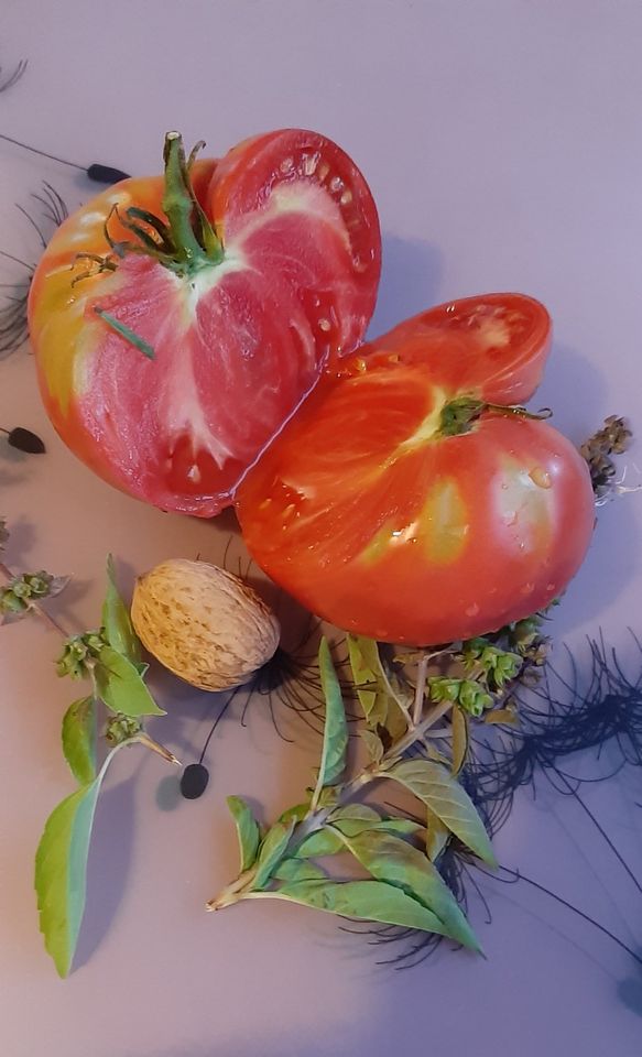 Tomatensamen alte Sorten  5 versch. Sorten a 10 Samen 9 € in Lauda-Königshofen