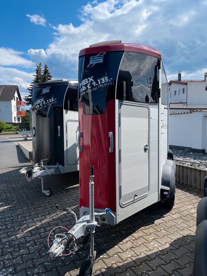 Ifor Williams HBX403 mit Frontausstieg Rot / Pferdeanhänger NEU! in Rosbach (v d Höhe)