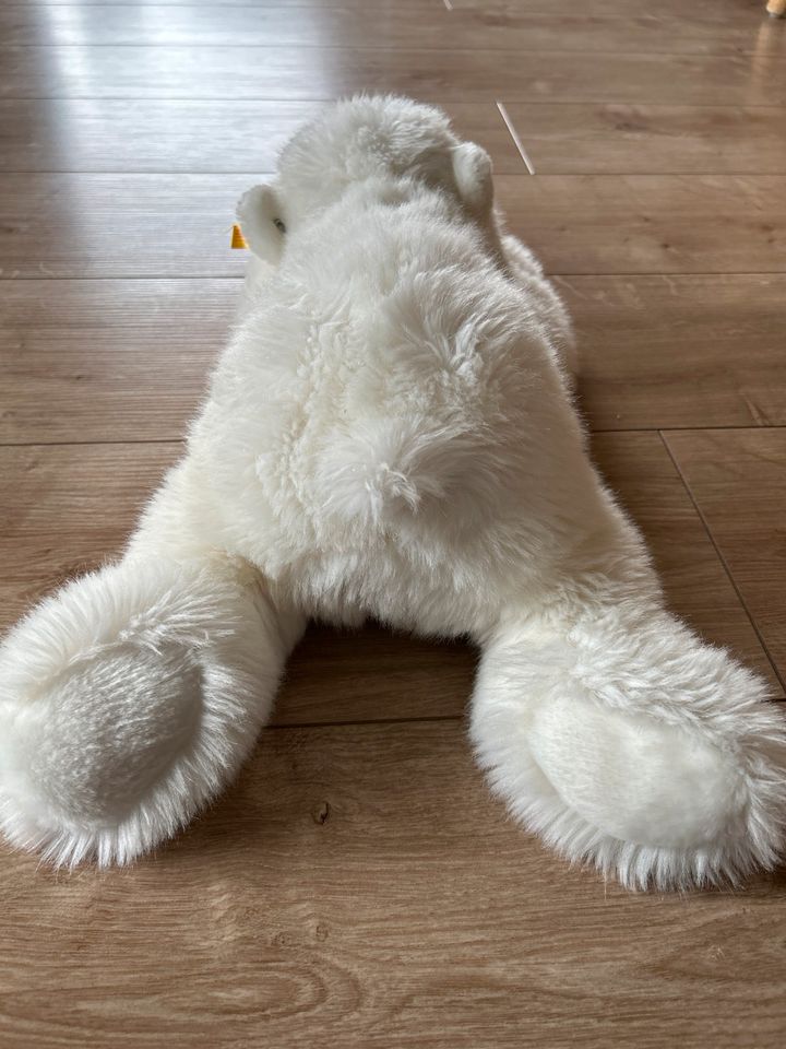 Steiff Eisbär Arco 45 cm liegend / NEU in Hemer