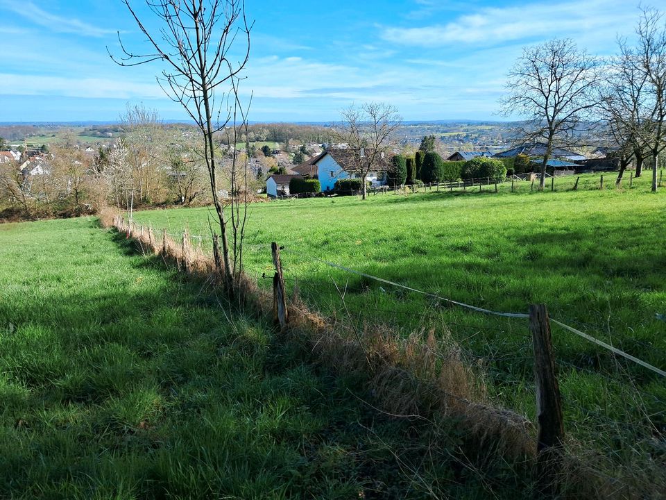 Wiese / Freizeitgrundstück Thomasberg in Königswinter