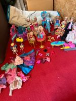 Barbie Sammlung Schleswig-Holstein - Bosau Vorschau