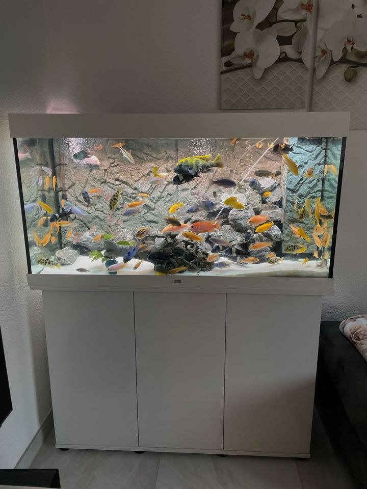 Aquarium in Top-Zustand in Kierspe