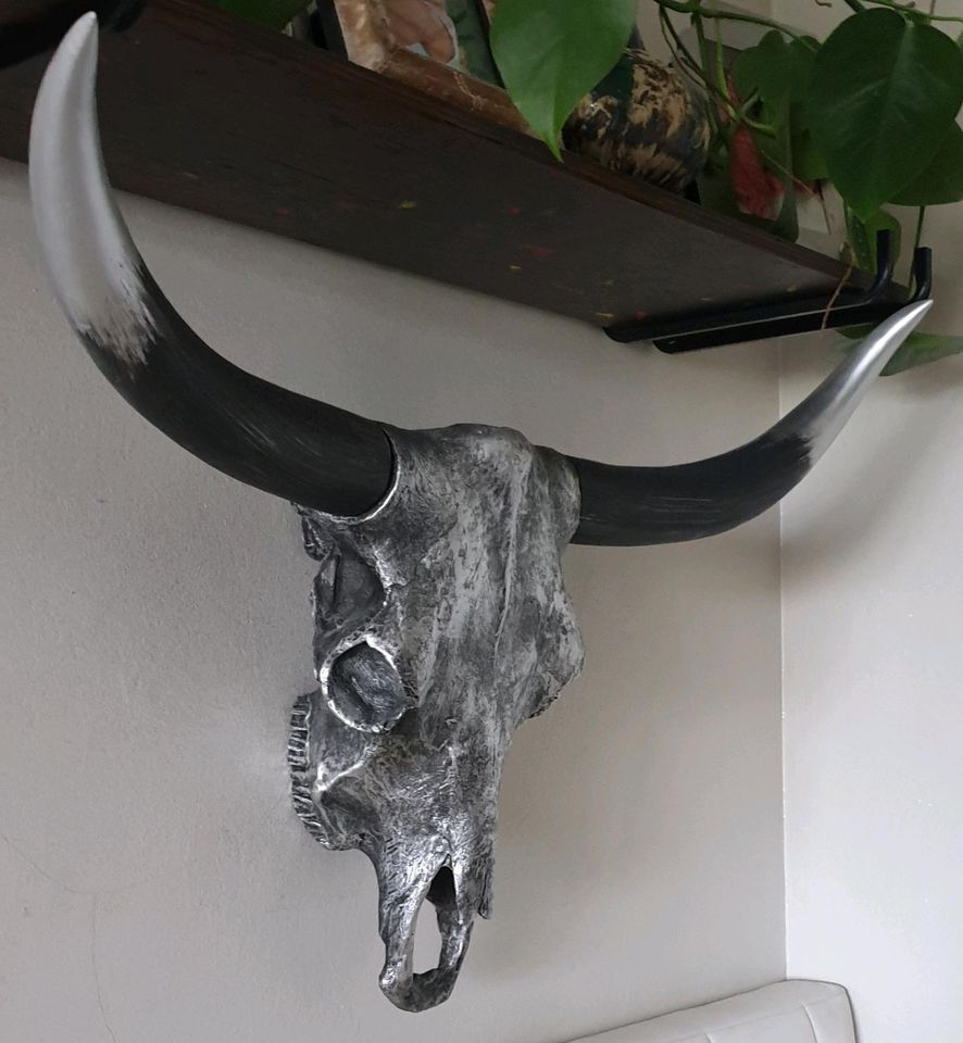 Stierkopf Bull skull xxl Wand Deko in München