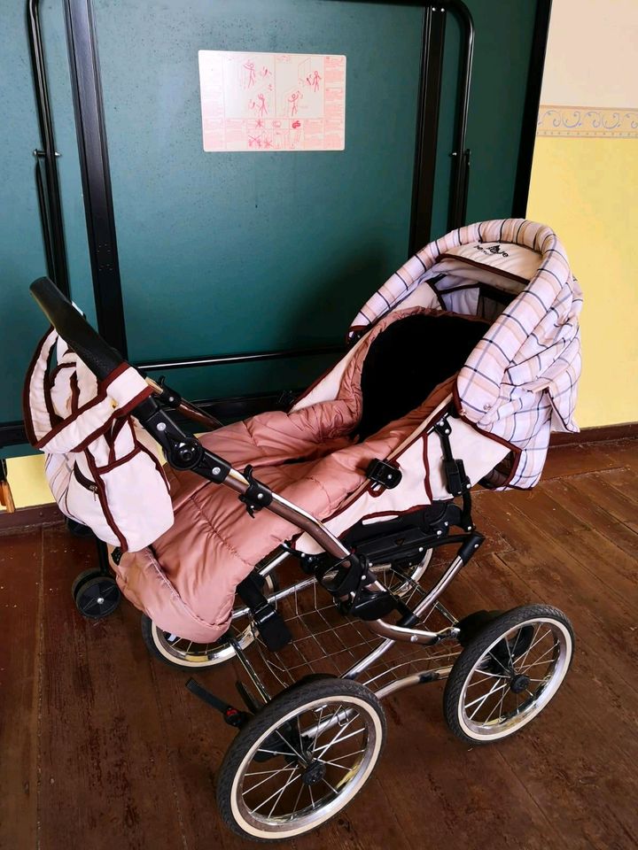 Kinderwagen Bergsteiger in Pripsleben