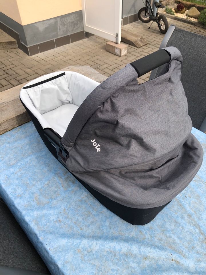 Joie Ramble Babywanne mit Adapter in Saarbrücken