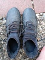 Adidas Predator Stollenschuhe Gr.44 Niedersachsen - Sehnde Vorschau