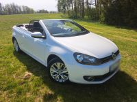 VW Golf VI 6 Cabrio 2.0 TDI Bluemotion 140Ps Niedersachsen - Braunlage Vorschau