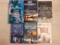 Bücher, Thriller, Krimis Niedersachsen - Holdorf Vorschau