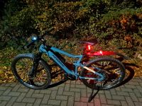 EBike Haibike Fullnine 5 Niedersachsen - Bückeburg Vorschau