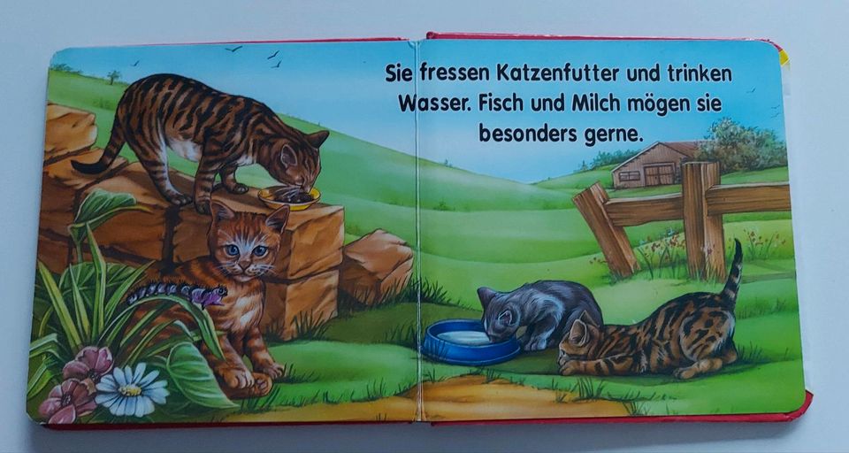 Katzenbuch für Kinder von paletti. in Petershagen