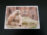Karte Postkarte Präriehund Humor Von wegen zu fett Schwachhausen - Gete Vorschau
