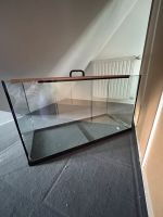 Terrarium/Nagarium aus Glas Saarland - Kleinblittersdorf Vorschau
