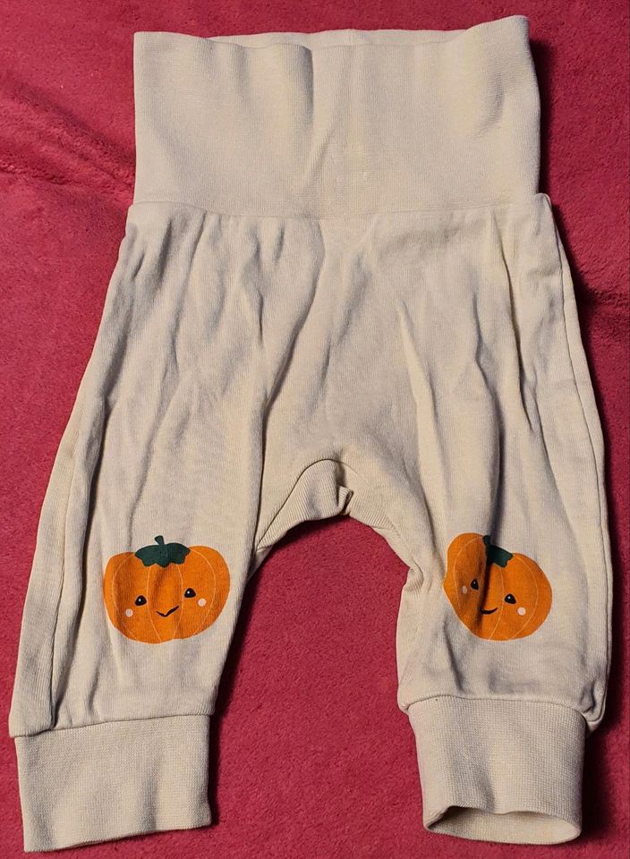 HALLOWEEN KOSTÜM KÜRBIS BABY 56 in Ronneburg