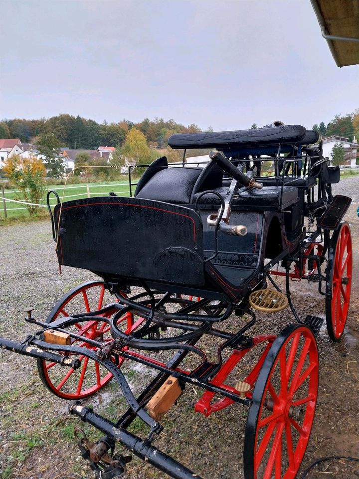 Pferde Kutsche in Schemmerhofen