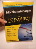 Molekularbiologie für Dummies - Lehrbuch Sachsen - Mittweida Vorschau