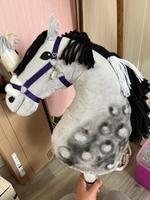Hobby Horse Nordrhein-Westfalen - Lübbecke  Vorschau
