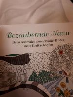 Malbuch für Erwachsene  NEU / Ausmalbuch Bayern - Inning am Ammersee Vorschau