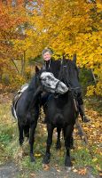 Reitbeteiligung inklusive Reitunterricht Brandenburg - Königs Wusterhausen Vorschau