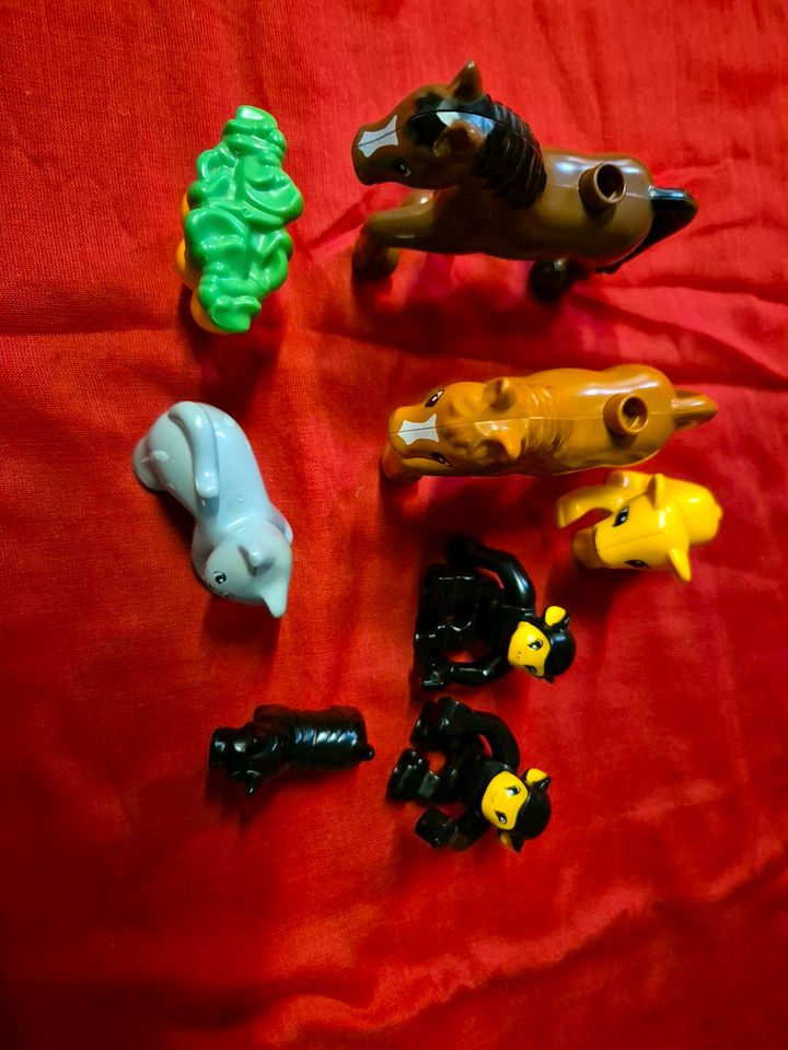 Lego Duplo Zoo / Bauernhof / Tiere / Haus etc. in Simmerath