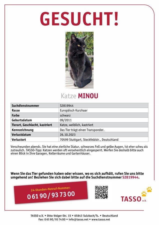 Wir vermissen unsere Katze - hat sie jemand gesehen? in Stuttgart