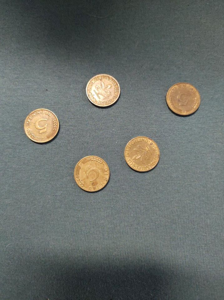 5 Pfennig Stücke von 1969 in Reutlingen