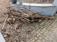 Brennholz zu verschenken Nordrhein-Westfalen - Herzogenrath Vorschau
