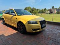 Audi A3 8PA 1,9TDI Niedersachsen - Papenburg Vorschau