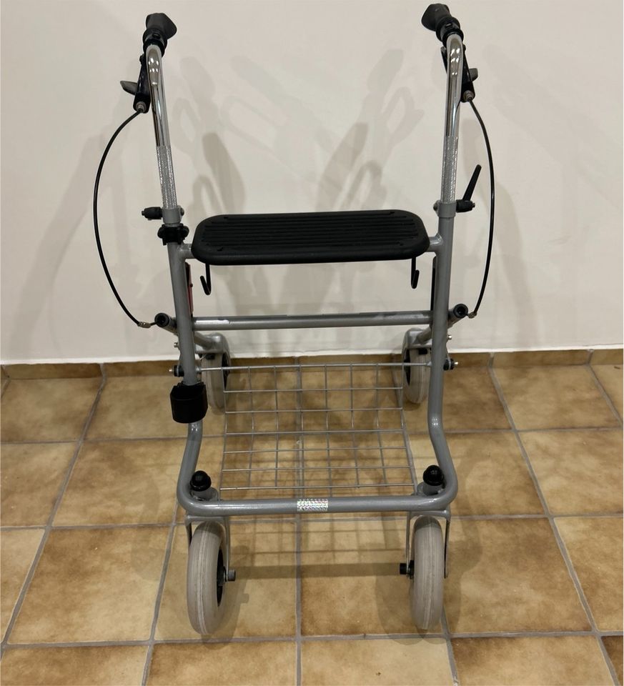 Russka Rollator in Illingen