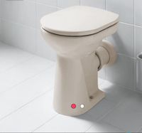 Laufen Toilette in Beige stehend Güstrow - Landkreis - Lalendorf Vorschau