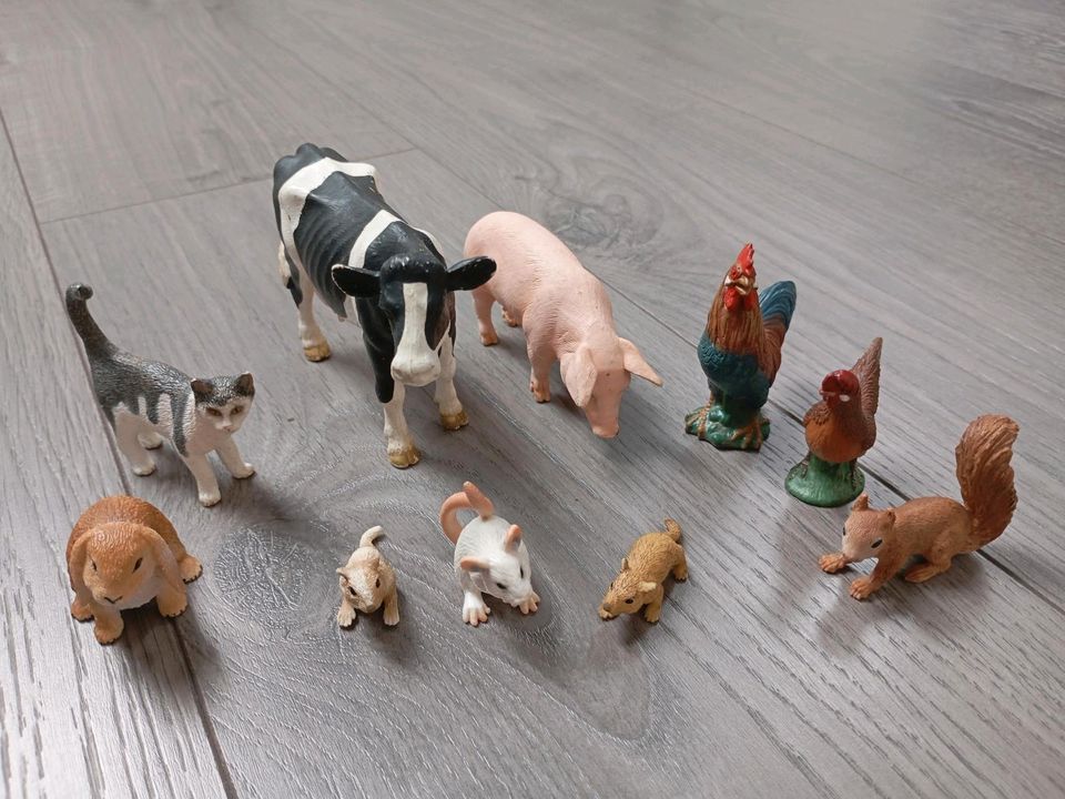 Schleich Kuh Schwein Hase Ratte Katze Hahn Henne Eichhörnchen in Tornesch