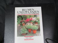 Gartenbuch: Blumen und Pflanzen auf Balkon und Terrasse Dithmarschen - Tellingstedt Vorschau