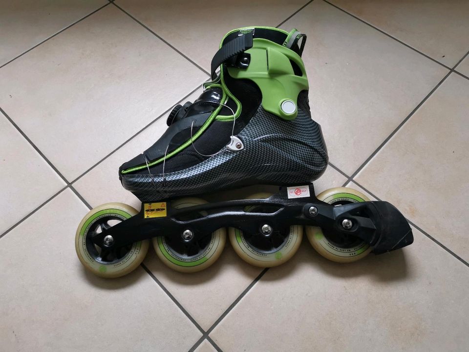 Inline Skates / Fitness-/Speed-Skates Gr.40 in Piding