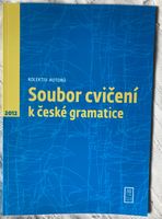 Soubor cvičení k česke gramatice Hessen - Bad Homburg Vorschau